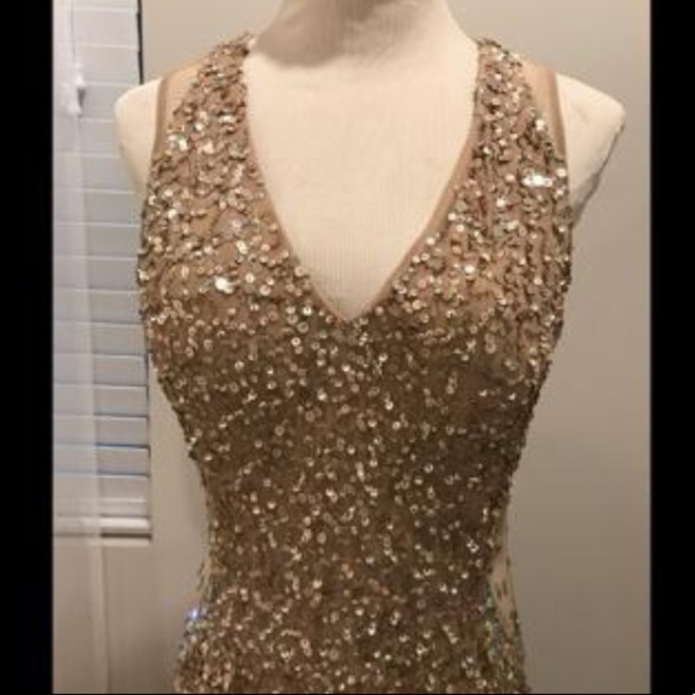 Adrianna Papell side mesh embellished sleeveless long gown - Picture 4 of 9